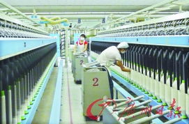 前兩月江門商貿經濟增速放緩現象探析